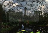 leipzig zoo-01_07_2011_gondwanaland_045